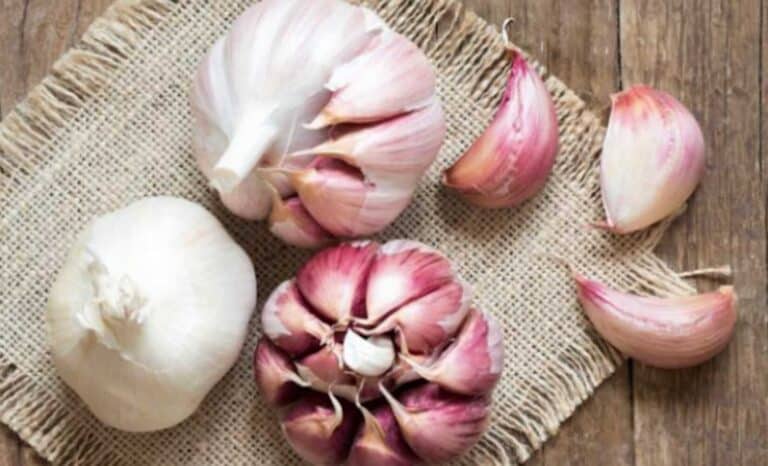 5 βότανα & μπαχαρικά που ελέγχουν την χολnστερόλη πέρα από τις στατiνες