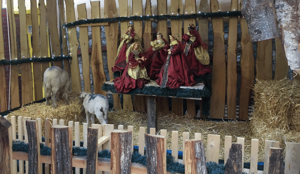 volos fatni zoa new 1024x597 1