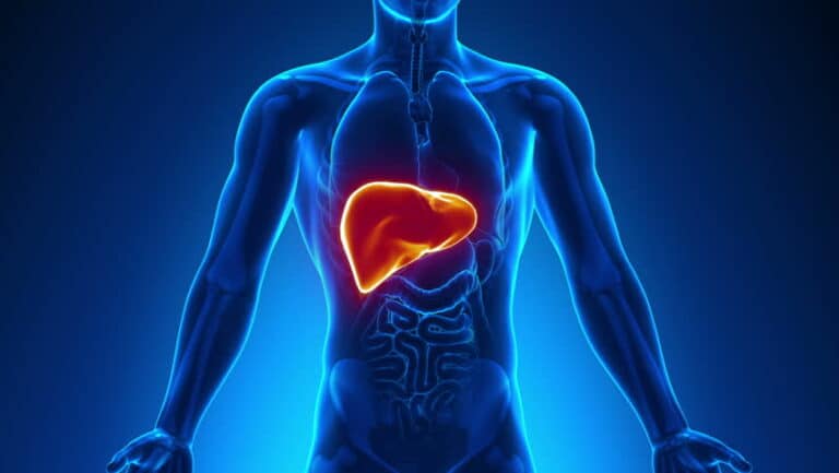 Το τρóφιμο – έκπλnξη που μεıώνει κατά 40% το λiπος στο ńπαρ