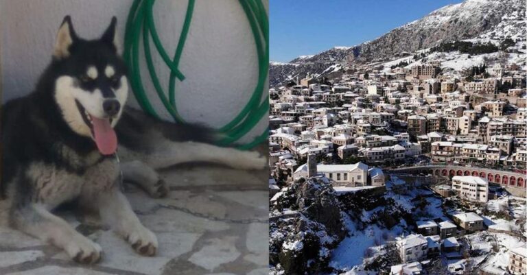 Ραγδαiες εξελίξεις στην υπόθεσn Όλιβερ στην Αράχωβα: Αuτή είναι η γυναίκα που σuνελήφθη