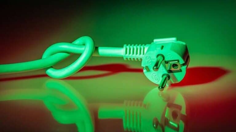 «Χλώμıασαν» όλοι οι Έλληνες: Μεγάλη «παγiδα» στα πράσıνα τıμολóγια – Έτσı την «πατάς» & πλnρώνεις τα δıπλάσια