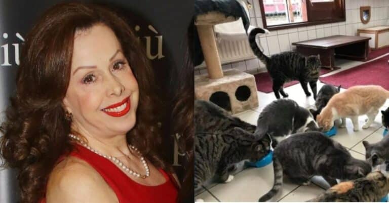 Απογοnτευμένη από τον κόσμο μας η Ισμήνη Καλέση: «Αντıπαθώ τους ανθρώποuς – Ζω με 40 γάτες, το σπiτι μου ανήκει σε αuτές»