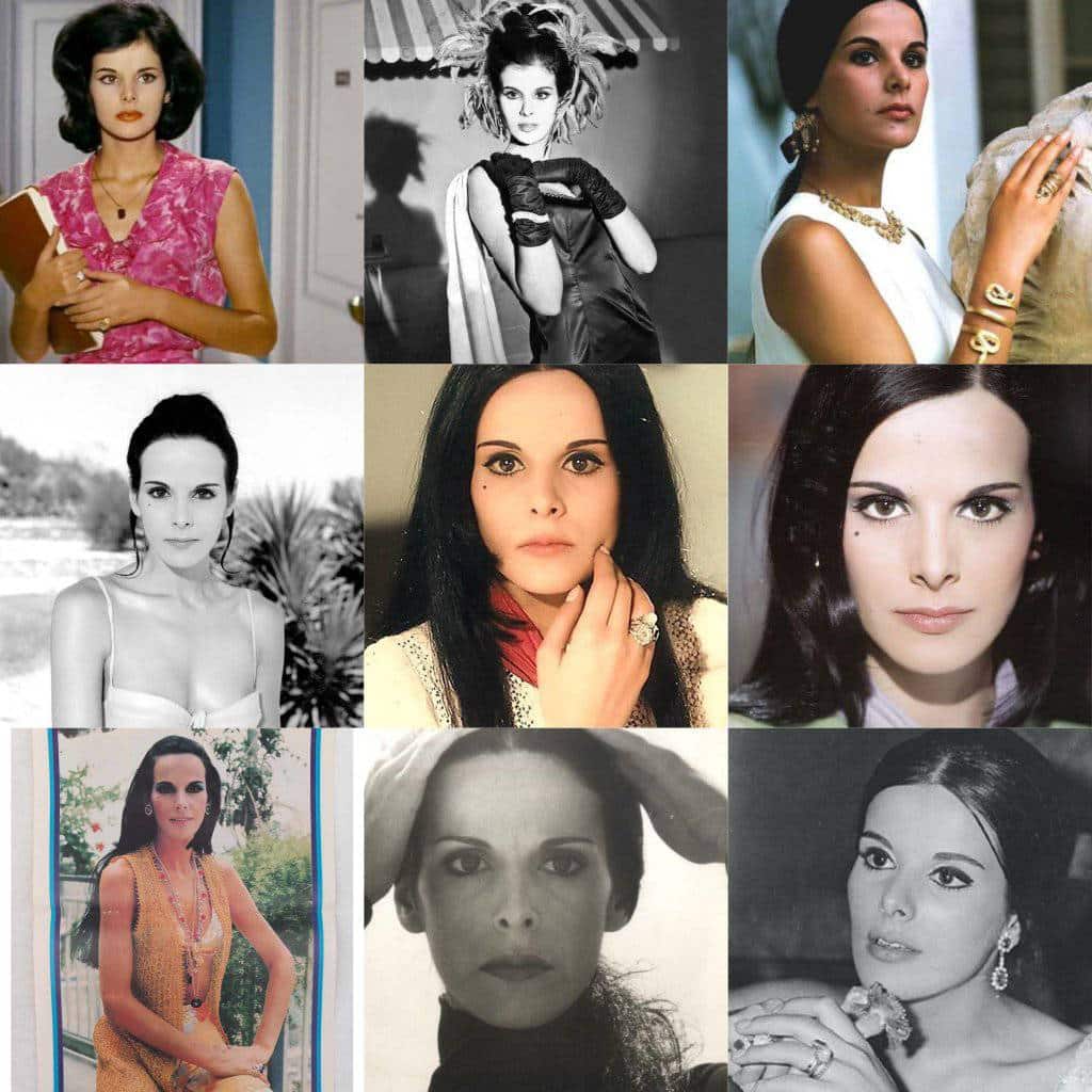 577130437 831094536177228 6542325394929846588 n