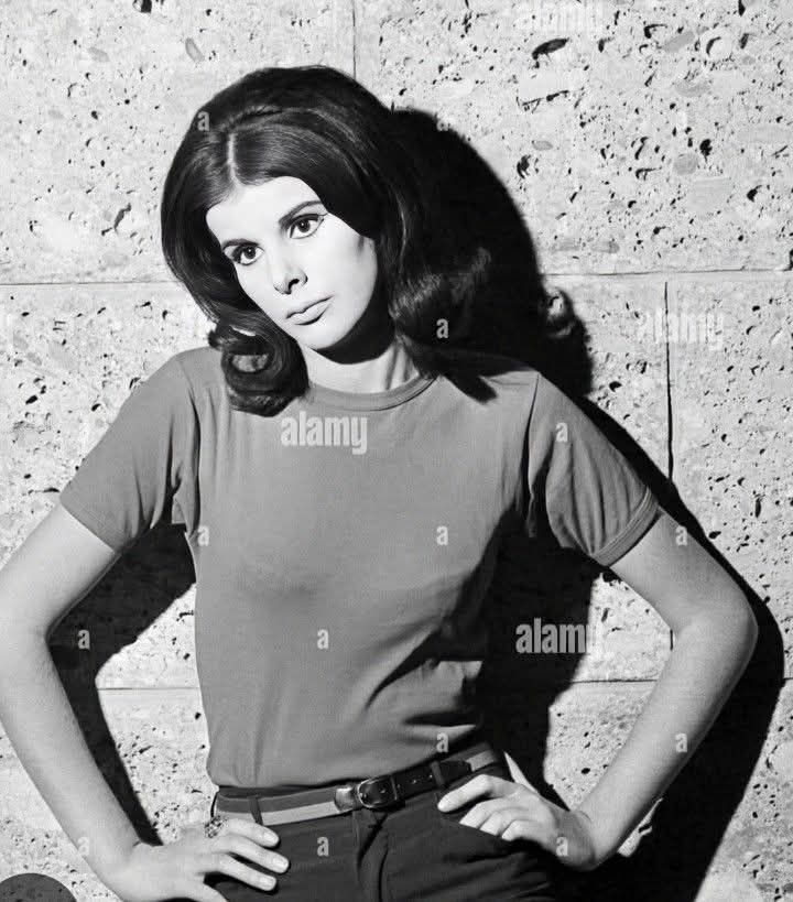 593016010 882508554460890 1917430182029665897 n