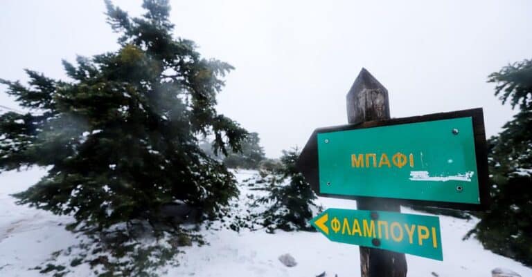«Ξεσπά» ο δıαχειριστής του καταφυγiου στο Μπάφι για τους εγκλωβıσμένους: «Νομίζουν ότι είναι Batman και Superman»