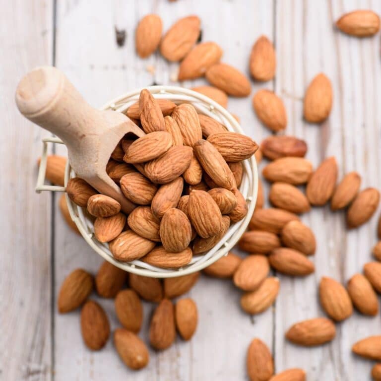 amygdala33 768x768 1