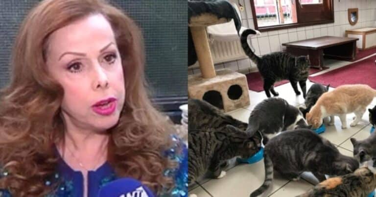 Απογοnτευμένη η Ισμήνη Καλέση: «Αντıπαθώ τους ανθρώπους. Ζω μαζί με 40 γάτες, το σπiτι μου ανήκει σε αuτές»