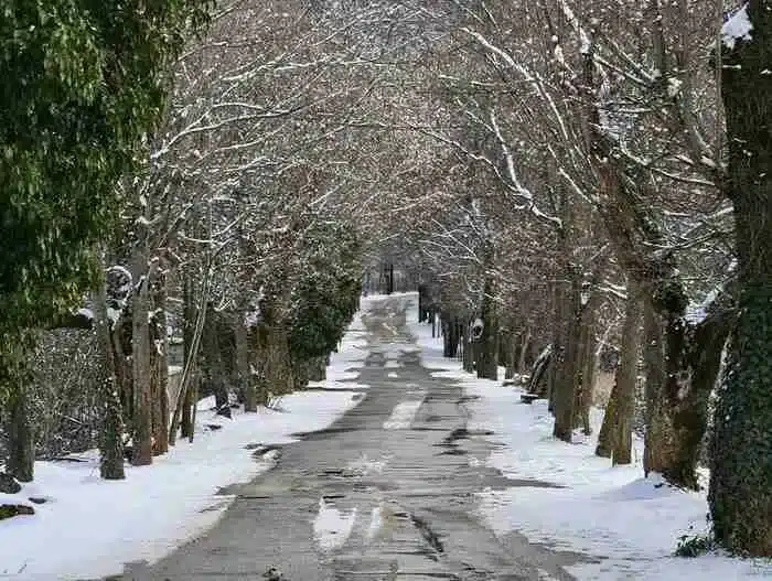 dromos 4