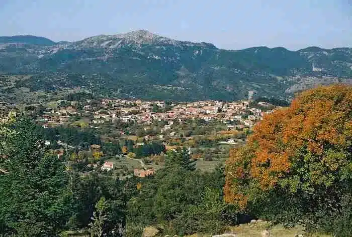 dromos 5