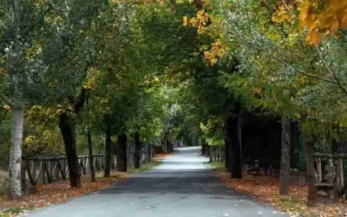 dromos 7