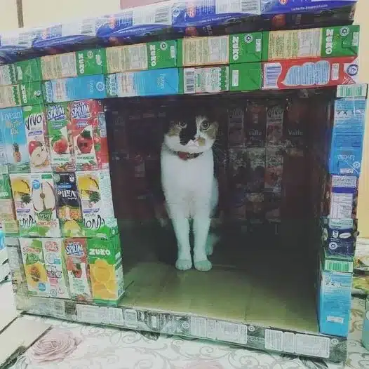 gataa