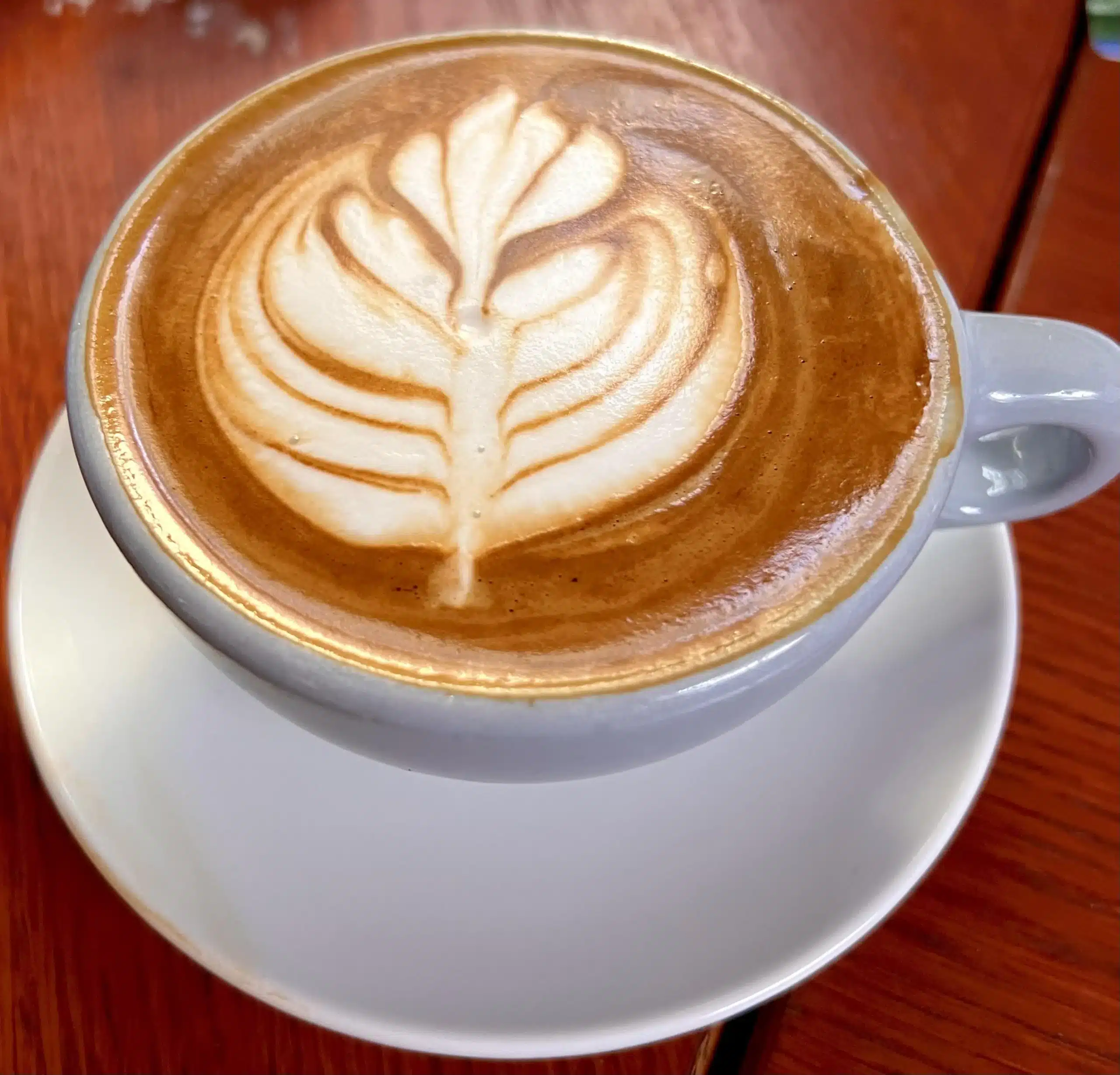 i just had the best latte ever v0 ahvvdsawxy6d1 scaled