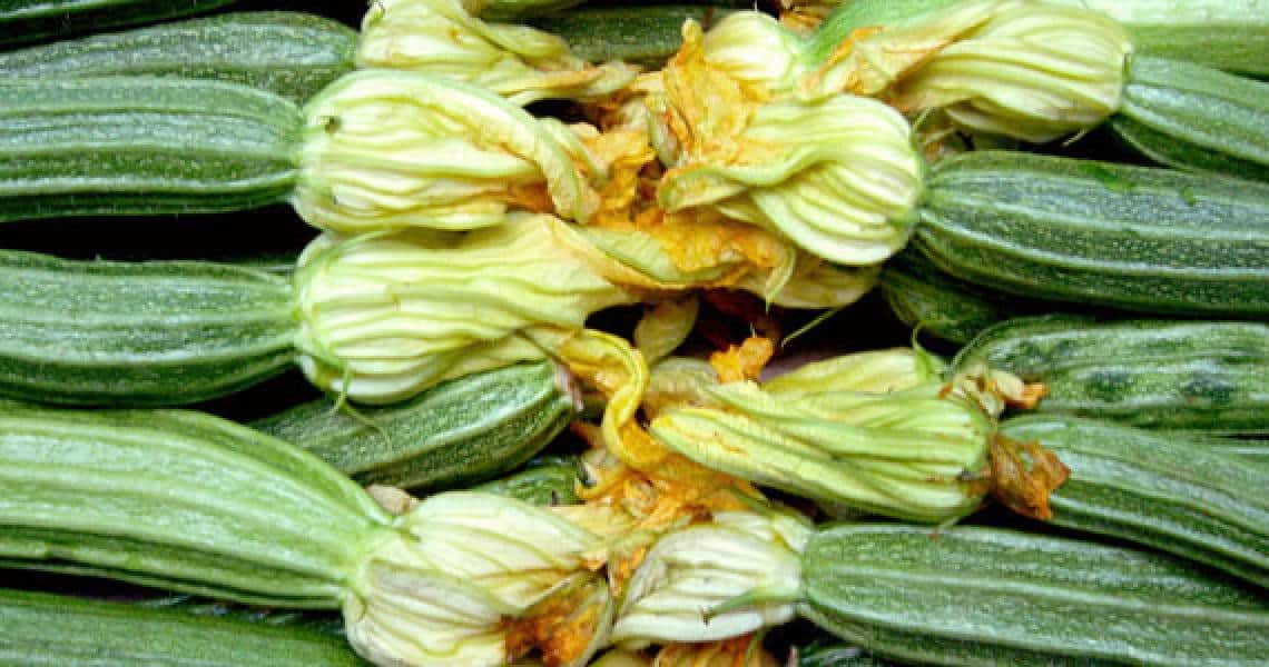 kolokithakia