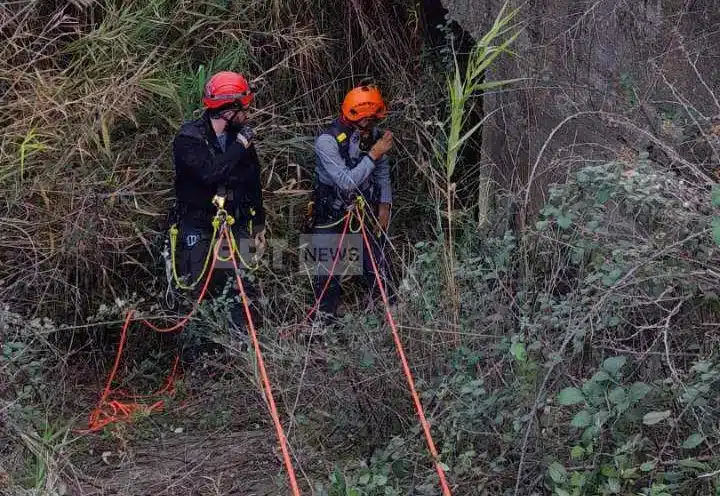 skylos diasostes.jpg