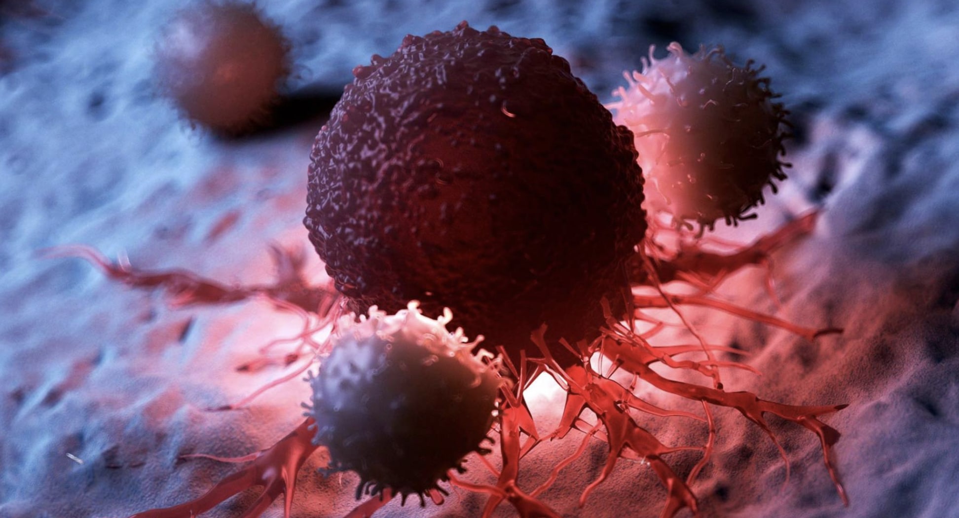 stigmiotypo othonis 2025 11 19 22.48.20