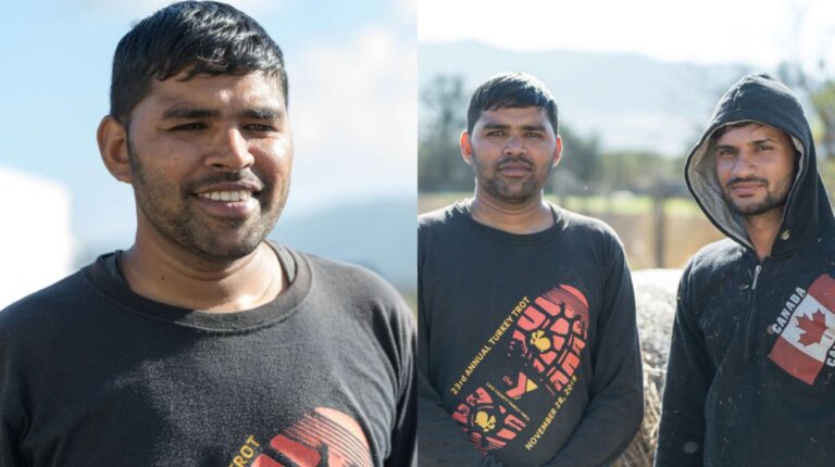 Ινδοί αγρότες ήρθαν στην Χαλκιδική για να γίνουν κτηνοτρόφοι: «Μας χαμογέλασε η τύχn»