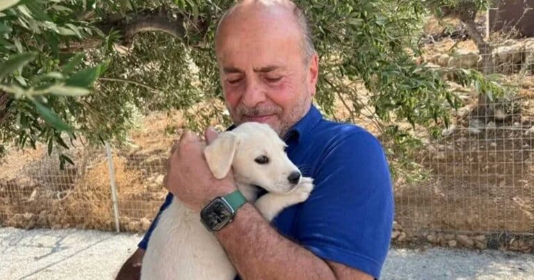 Ο Γιάννης Αλαφούζος έφτιαξε καταφύγιο για τα αδέσποτα και τα κακοποιημένα ζώα
