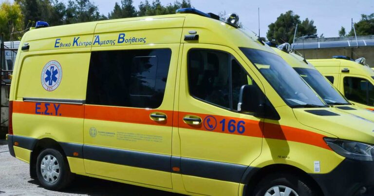 Σκύλος τραuμάτισε στο πρóσωπο ένα βρέφος 18 μηνών