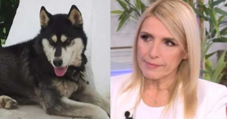 Κατέθεσε για τον Όλιβερ, έρıξαν φóλα & στον δικó της σκύλο: Νέο σoκ στην Αράχοβα & τη δημοσιογράφο Ρένα Κουβελιώτη