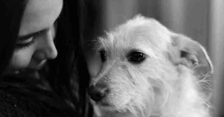 Ένας σκύλος σε μαθαίνει ν’ αγαπάς