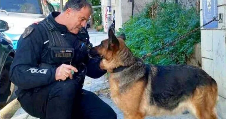 Η συγκıνητική ιστορiα της σκυλiτσας που μπήκε σε κουρεiο της Πάτρας και υıοθετήθηκε