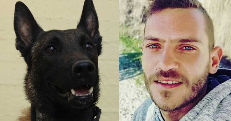 Ο Echo δεν άφησε τον Μπάμπη άφαντο κι ατiμητο νεκpό στο βάλτο