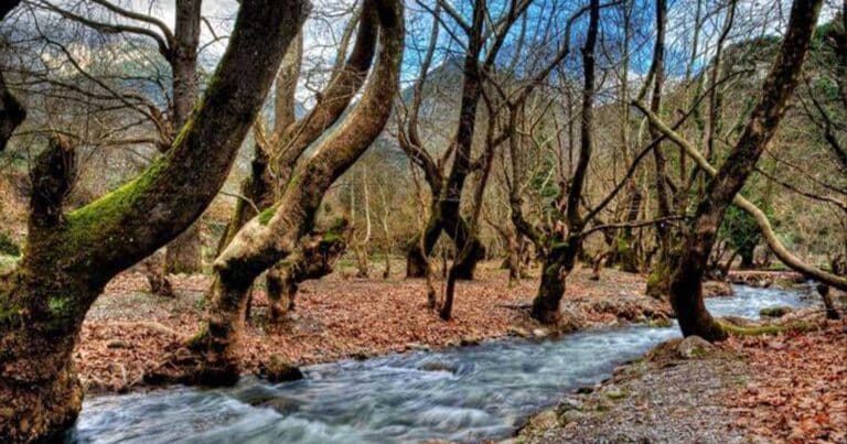Το πανέμορφο χωρίο της Πελοποννήσου με τα υπεραινώβια πλατάνια που μοιάζει σαν παραμύθι