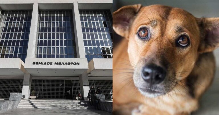 Παρέμβαση Αρείου Πάγου για την κακοποiηση και τον θάνaτο σκύλου στα Μέγαρα