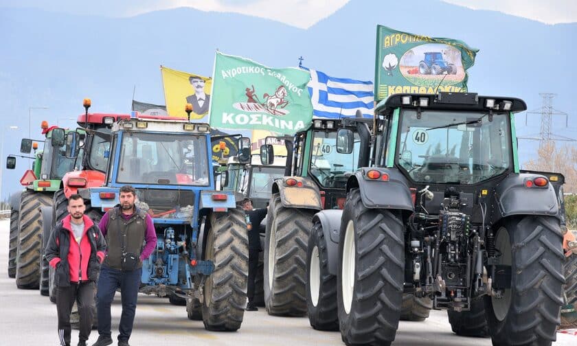 agrotes 9