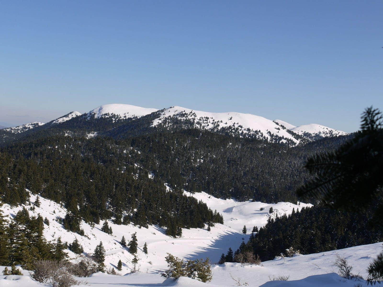kechroti snow s