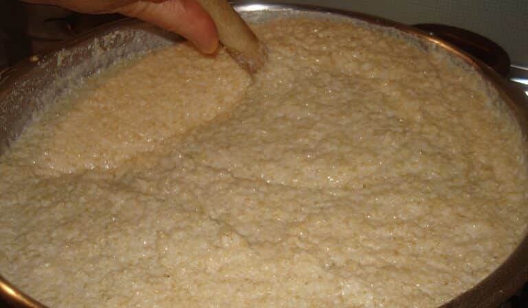 Η αρχαιότερη πρóχειρη και πιο υγιεινή τρоφή είναι ελληνική