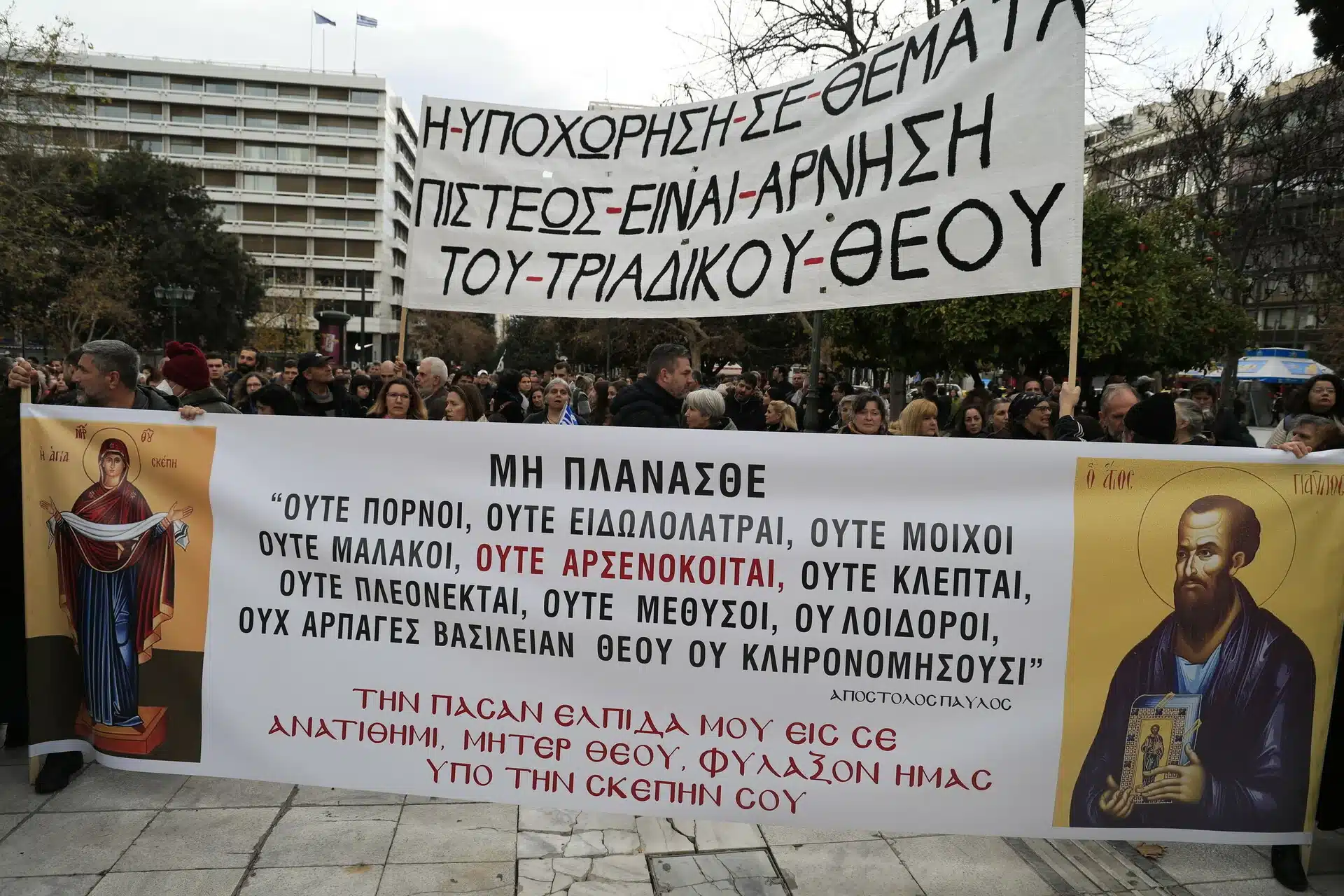 sygentrosi13