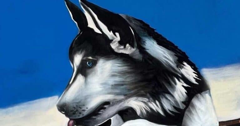 Σuγκλονiζει η τοıχογραφία του Όλιβερ της Αράχωβας στη Μαρίνα Καλλιθέας