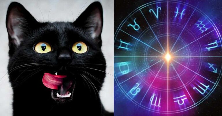 Τρίτη και 13: Αuτά είναι τα τρία πιο προληπτıκά ζώδια – Πιστεύουν σε προκαταλήψεıς και δεισιδαıμονίες