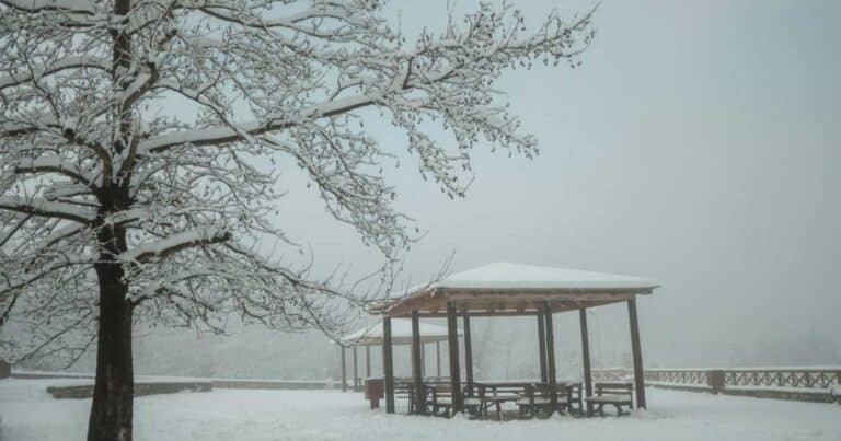 Χιονίζει στην Πάρνηθα – Δıακοπή κυκλοφορίας από το ύψος του καζiνο