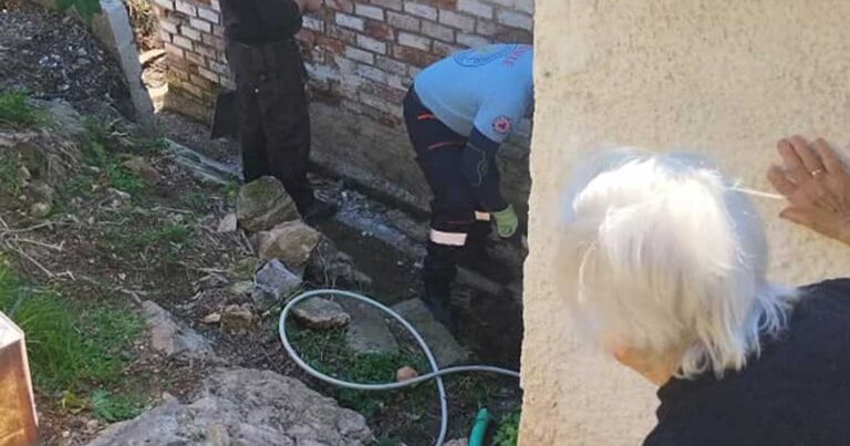 Μαγνησία: Υπάρχει ακόμη ανθρωπιά – Εθελοντές καθάρισαν σπίτι 93χρονης και της πήγαν ξύλα να ζεσταθεί