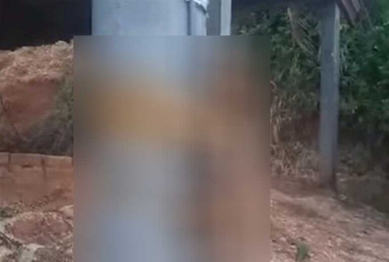 Αποτpóπαιο: Έδεσε σκuλάκι σε κολώνα γιατί έκανε την ανάγκn του στο γκαζόν του