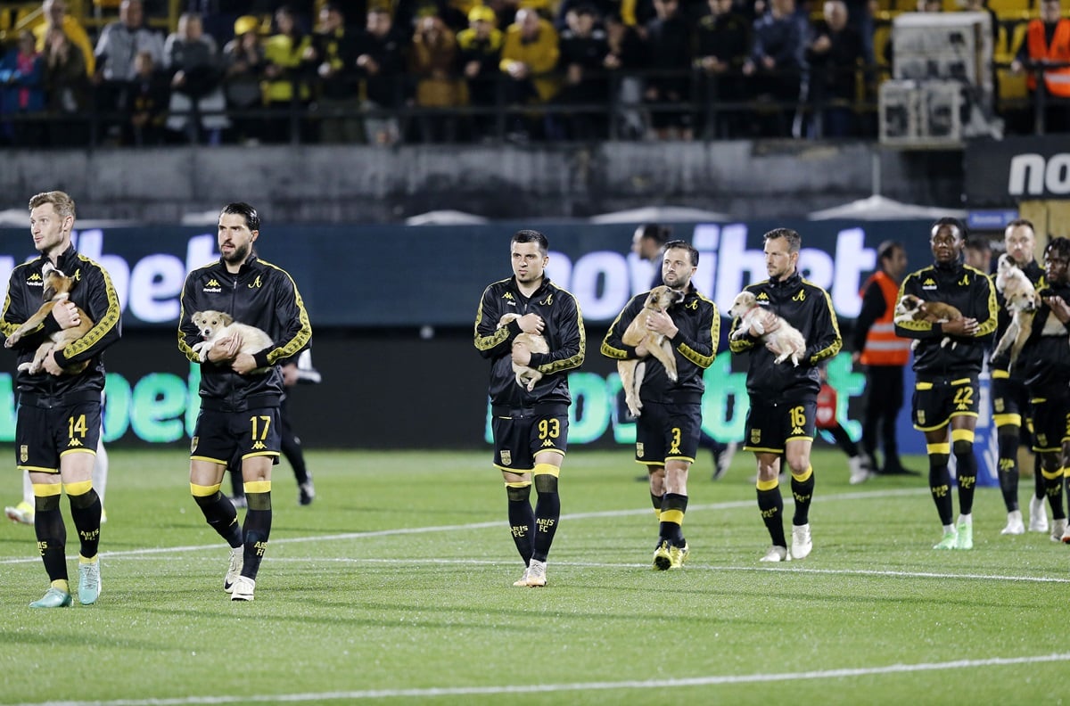 koutavakia vikelidis 6