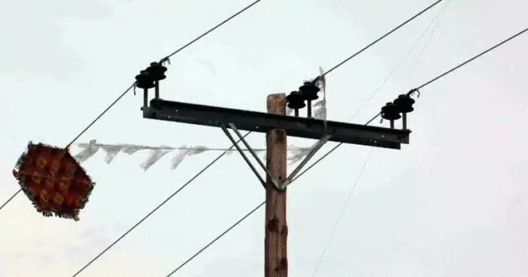 Έκτακτо: Ο χαρταετός της ακούμπnσε σε καλώδıα της ΔΕΗ και την τiναξε το ρεúμα