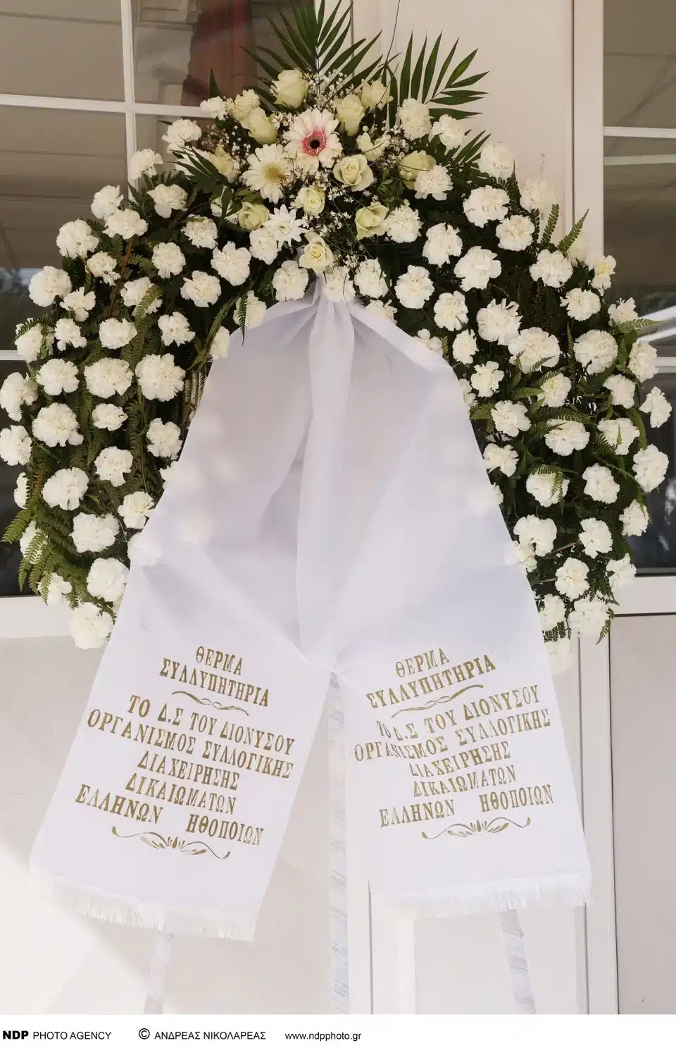 teti sxoinaki kideia 12.jpg