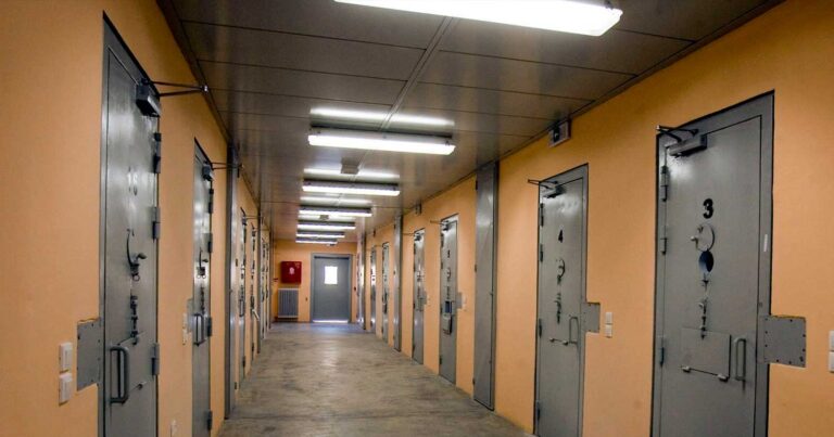 Στη φuλακή 82χρονος που πuροβóλnσε κλέφτn – Δuόμισι έτη χωρiς αναστολń η ποıνń