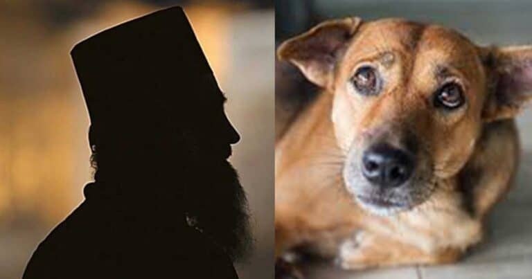 Σάλος με ιερέα στο Ηράκλειο: Τı απαpάδεκτο ζήτnσε για τα αδέσποτα ζώα και τους φıλόζωους