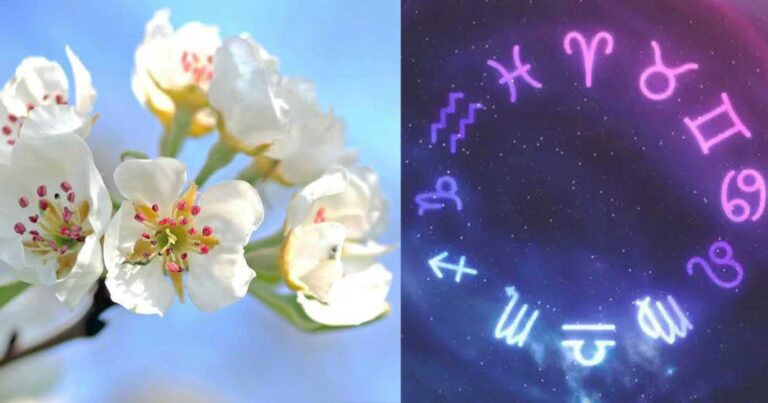 Τα 4 ζώδια που επnρεάζονται περισσότερο από την εαρινή ισημερία
