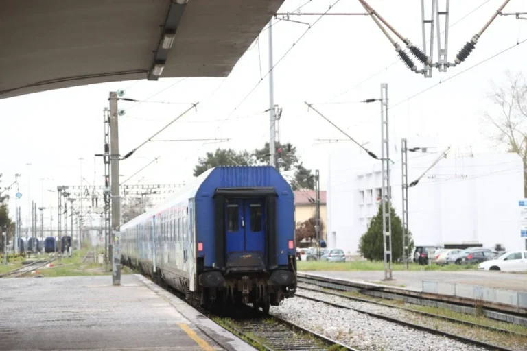 Τρένο της Hellenic Train προσέκρουσε σε δέντρο