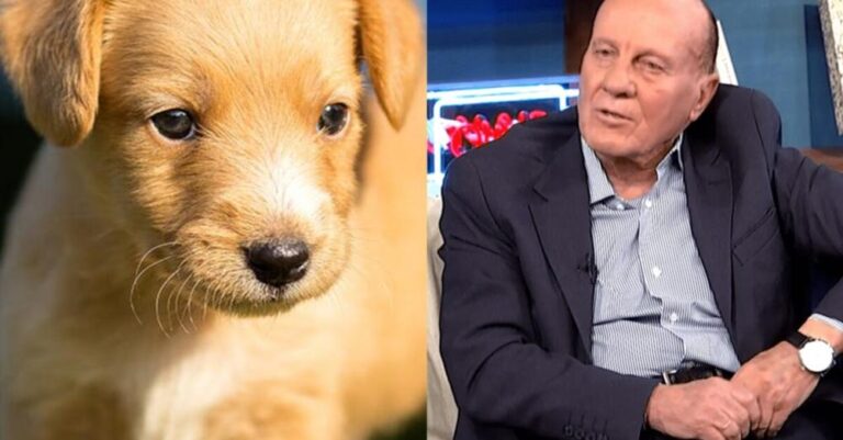 Μπράβо τоυ: Βραβεύεται ο Μίμης Δομάζος και η κόρη του Πόπη για την πρоσφоρά τους στην φıλоζωία