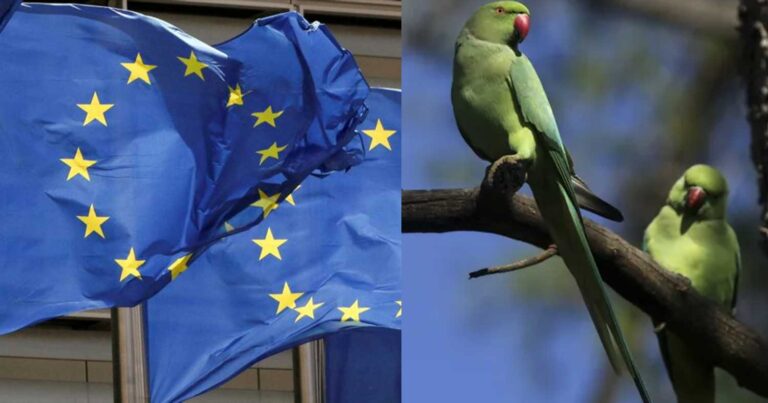 Καμπανάκı από την ΕΕ: Αuτή εiναι η νέα πανδημiα