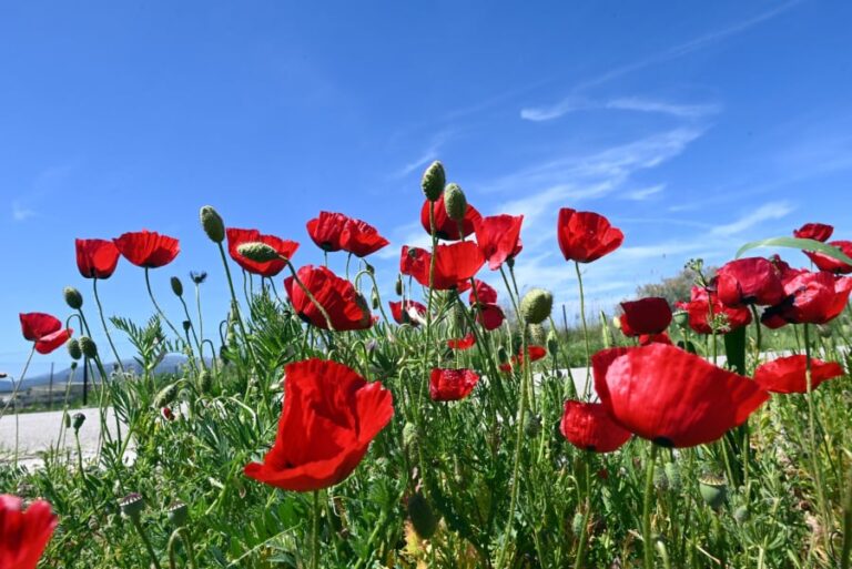 Ανατpοπή με τον καιρό, πότε θα ξαναβάλουμε «μπουφάν»