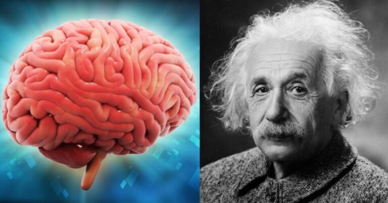 Πόσο έξυπνος είσαι; Το μικρότερο τεστ IQ στον κόσμο, έχει μόνο 3 ερωτήσεις και σχεδόν όλοι κάνουν ένα λάθος