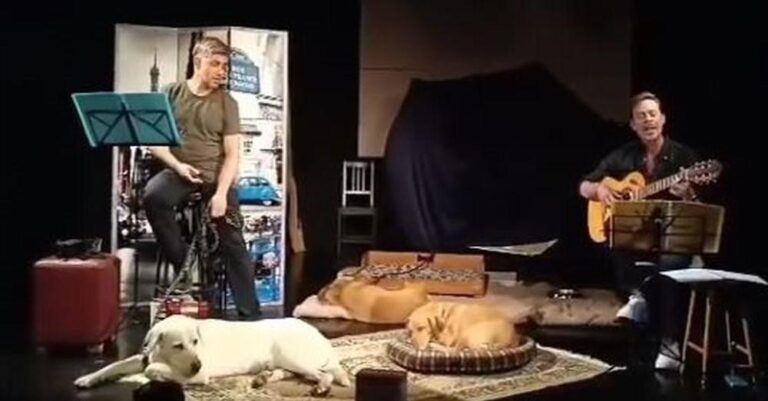 Η πρώτη στα χρονικά παράσταση με τρια σκυλιά επί σκηνής στο Θέατρο Παραμυθίας για πολύ πολύ καλό σκοπό