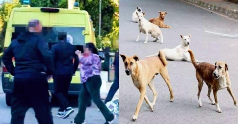 Το κατασπάραξαν τα σκυλιά: Μωpό 1 έτоυς είχε τον πιο Tpαγικό θάνaτο μέσα στο σπίτι του, σε σоκ οι γονείς 